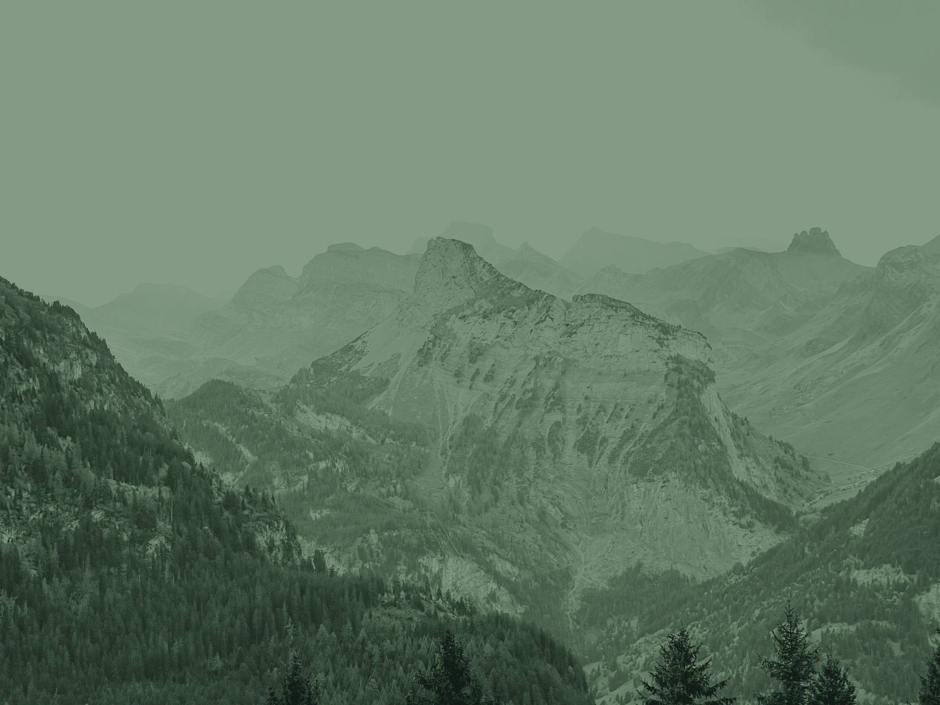 Layers of mountain ridges fading into haze above a dark pine forest, in deep green